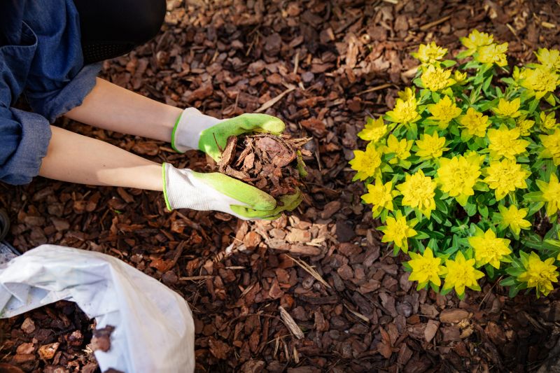 Mulching Service detail