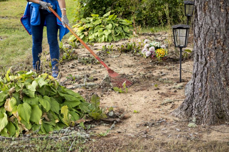 Contact About Mulching Service